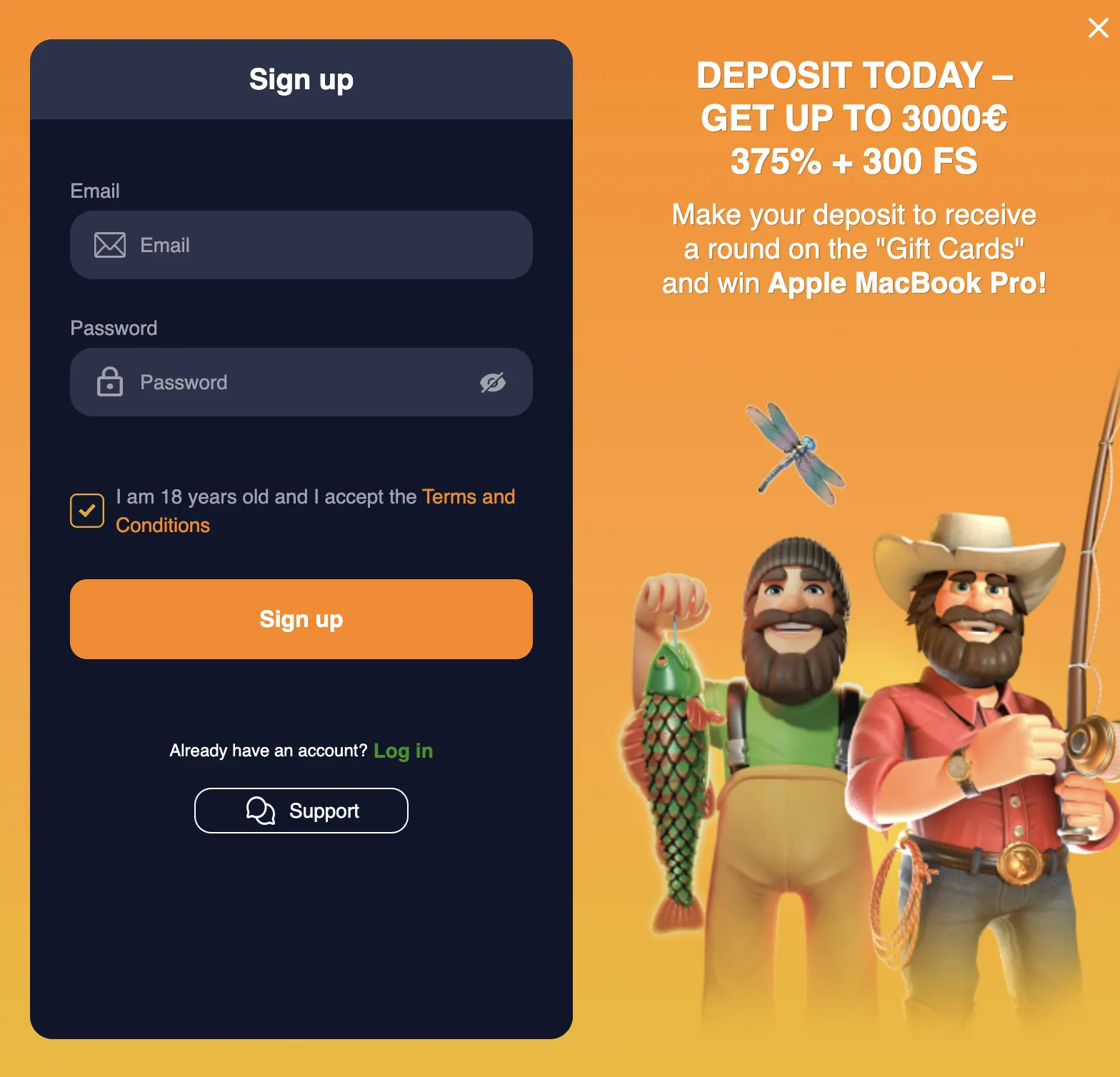 Screenshot of the Basswin account registration form interface